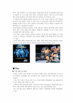 [마케팅원론] 프로레스링 `WWE` 마케팅전략-14