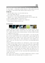 [소비자행동] TTL의 마케팅과 소비자행동분석-13