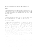 [국제마케팅] 넥슨 중국시장마케팅전략- 온라인게임 비엔비(BNB)성공사례-9
