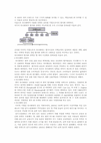 [국제기업론] 유니레버 분석-9