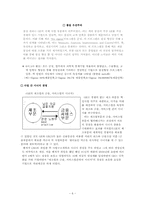 [경영전략] 기업의 다각화사례(ge사)-6