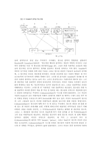 [조직이론] 창조성에 대한 심리학적 접근-20