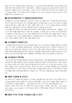[소비자행동] 소비자행동에 대한 정보의 이용과 개발-9