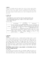 [소비자행동론] 패션브랜드 인디안 경영전략-2