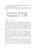 [마케팅] 롯데마트의 마케팅전략-14