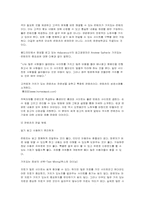 [경영정보시스템] 홈데포(Home Depot)와 로위스(Lowe\`s) 온라인성공사례-9