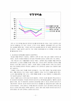 한국전기초자 재무분석-3