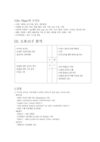 [소매업경영론] 마술업계의 선두주자 “비즈매직”-7