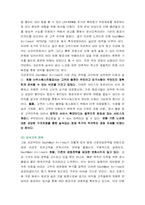 [항공사경영] 사우스웨스트 SouthWest Airlines의 경영전략-6
