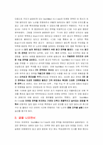 [항공사경영] 사우스웨스트 SouthWest Airlines의 경영전략-10