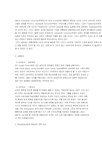 [국제전략] 블랙앤데커 글로벌전략-9