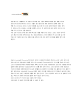 [국제전략] 블랙앤데커 글로벌전략-10