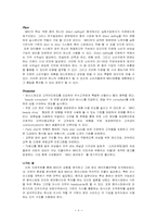 [국제경영] KMC 현지화전략-6