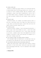 [국제경영전략] 싸이월드 중국시장진출전략-12