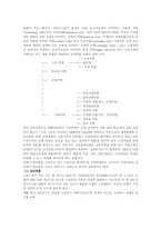 [위험관리론] 위태의 종류와 금융위험에 대해-2