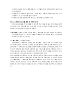스펙트라윙을 통해 본 기아의 마케팅전략-6