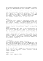 [경영전략] 글로벌경영환경하의 기업의 목표와 지배구조-7