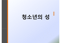 청소년의 성(청소년성문제, 청소년성매매, 낙태, 미혼모, 청소년성문제해결방안, 성문화센터) PPT, 프레젠테이션-1