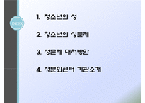 청소년의 성(청소년성문제, 청소년성매매, 낙태, 미혼모, 청소년성문제해결방안, 성문화센터) PPT, 프레젠테이션-2