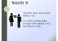 청소년의 성(청소년성문제, 청소년성매매, 낙태, 미혼모, 청소년성문제해결방안, 성문화센터) PPT, 프레젠테이션-3