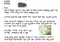 영유아영양(영유아영양중요성, 영유아영양지침, 영유아생리적특성, 영아기영양, 유아기영양)PPT, 파워포인트-8