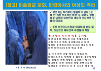 세계의 3대 종교-17