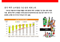 중국 맥주 시장의 이해& 맥주 메이저 3개 브랜드 성공사례-3