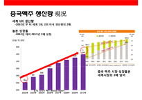 중국 맥주 시장의 이해& 맥주 메이저 3개 브랜드 성공사례-7