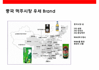 중국 맥주 시장의 이해& 맥주 메이저 3개 브랜드 성공사례-9
