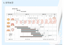 영양플러스, 모자보건사업, WIC프로그램 PPT(모자보건, 어린이영양복지사업, 모자영양보건사업) 프레젠테이션-5