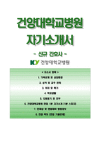 건양대학교병원자기소개서(면접질문+1분스피치),건양대학교병원(신규간호사)자소서,건양대병원합격자기소개서,건양대병원자소서항목,면접기출문제,면접1분자기소개,건양대학교병원지원동기-1