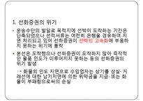 선화증권 위기(The BL crisis)-7