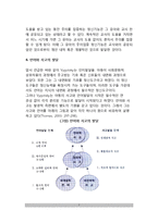 [비고츠키 사회문화적 이론] 비고츠키(Vygotsky)의 사회문화적 인지발달이론(비고츠키의 인지발달과 정신도구, 인지과정으로서 정신기능, 언어발달과 사고발달, 비고츠키 이론의 평가와 교육적 시사점)-7