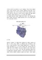 [프로이트 심리성적이론] 프로이드(Freud)의 심리성적 발달이론(의식수준과 성격구조, 성격의 역동성과 방어기제, 성격의 심리성적 발달단계, 교육시사점)-5