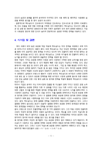 프랑스 인도를 중심으로 한 맥도날드의 해외진출전략-11