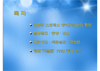 외상후 스트레스 장애와 치료-2
