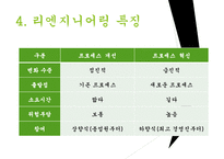 리엔지니어링과 리엔지니어링기업사례 PPT(경영전략과지식경영, 리엔지니어링이론정리)-10