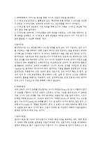 경영전략과 지식경영 전략경영 용어정리 및 경영성공사례-3