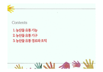 농산물유통기능과 구조 PPT(농산물유통기구, 농산물유통경로, 농산물유통조직기관)프레젠테이션-2