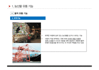 농산물유통기능과 구조 PPT(농산물유통기구, 농산물유통경로, 농산물유통조직기관)프레젠테이션-9