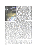 노인학대보고서(노인학대정리, 노인학대예방센터, 노인학대사례, 노인학대예방당정협의결과)-6