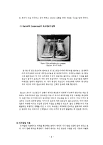 애착발달 보고서(아동행동연구, 애착이론, 애착형성단계, 애착유형, 애착관련발달장애, 분리불안장애, 반응성애착장애)-3