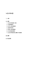 노인소득보장(노인소득보장프로그램, 노인고용보장제도, 사회보험제도, 사적소득보장체계, 공공부조제도, 간접소득보장제도, 노인복지, 노인고용문제)-1