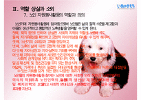 노년기정신건강 PPT(노년기역할상실, 노년기소외, 노년기질병과죽음, 노인학대, 치매) 프레젠테이션-11