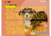 노년기정신건강 PPT(노년기역할상실, 노년기소외, 노년기질병과죽음, 노인학대, 치매) 프레젠테이션-20
