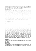 노인문제와 노인복지사업현황 보고서(노인이겪는문제, 노인복지문제점, 노인복지발전과제)-4