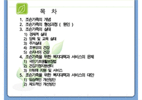조손가족복지 파워포인트 PPT(조손가족실태, 조손가족복지대책, 조손가족문제, 조손가족복지서비스)-2