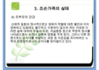 조손가족복지 파워포인트 PPT(조손가족실태, 조손가족복지대책, 조손가족문제, 조손가족복지서비스)-8
