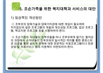 조손가족복지 파워포인트 PPT(조손가족실태, 조손가족복지대책, 조손가족문제, 조손가족복지서비스)-19