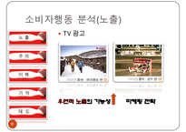 한국기업의 중국 및 일본시장 진출 사례-10